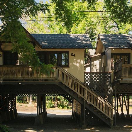 Johnson'S Beach Cabins And Campground Guerneville Extérieur photo