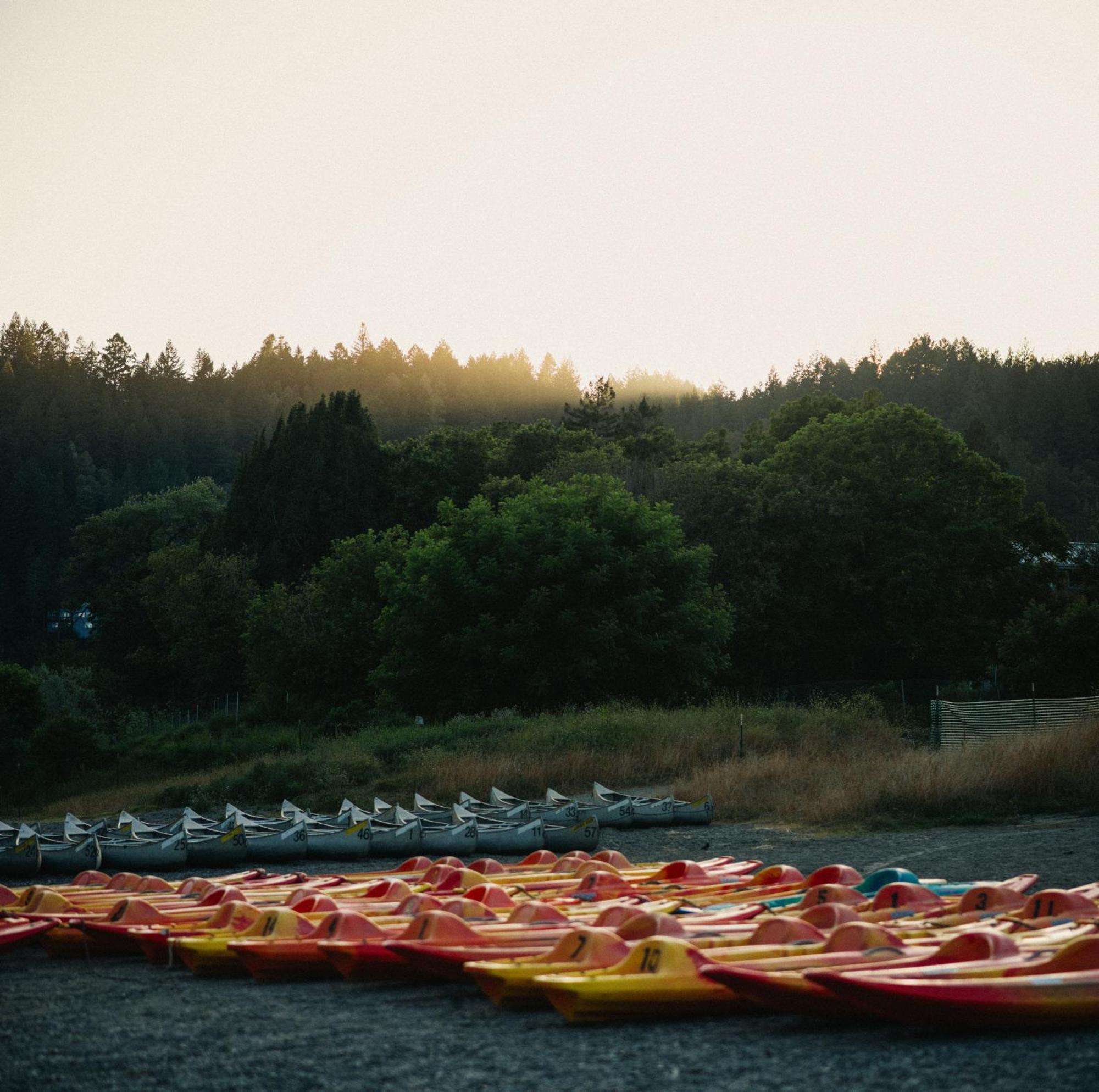 Johnson'S Beach Cabins And Campground Guerneville Extérieur photo